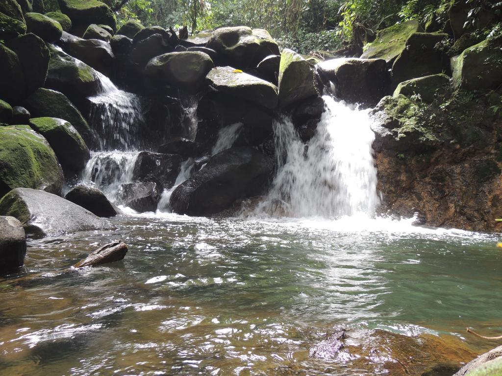 Yatama Rainforest Ecolodge Sarapiquí Eksteriør billede