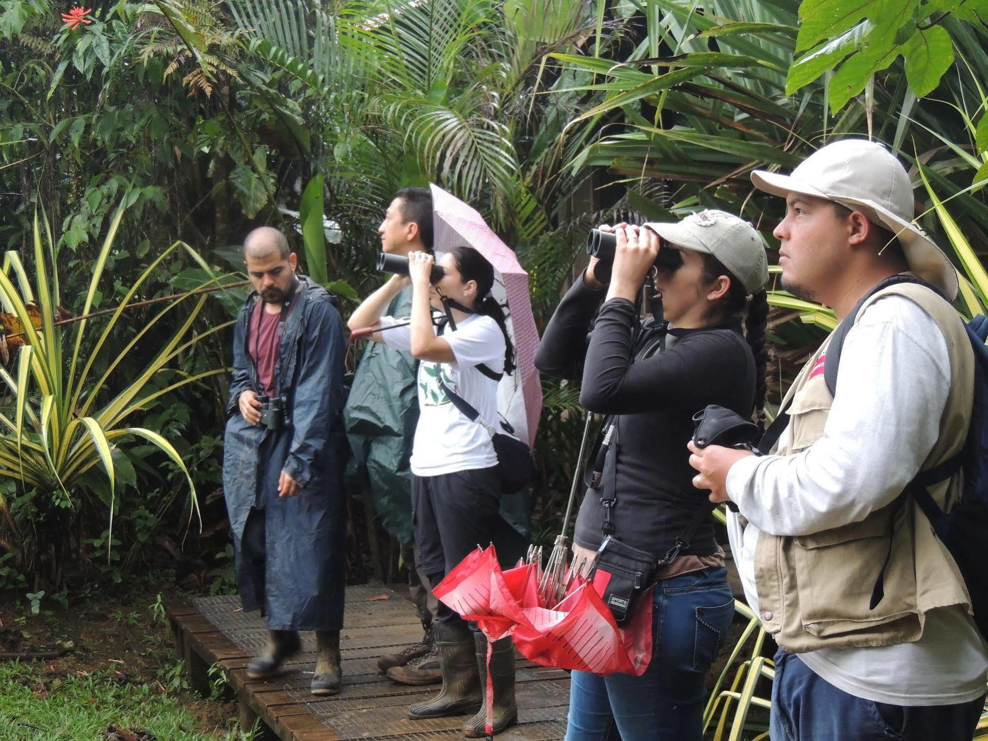 Yatama Rainforest Ecolodge Sarapiquí Eksteriør billede